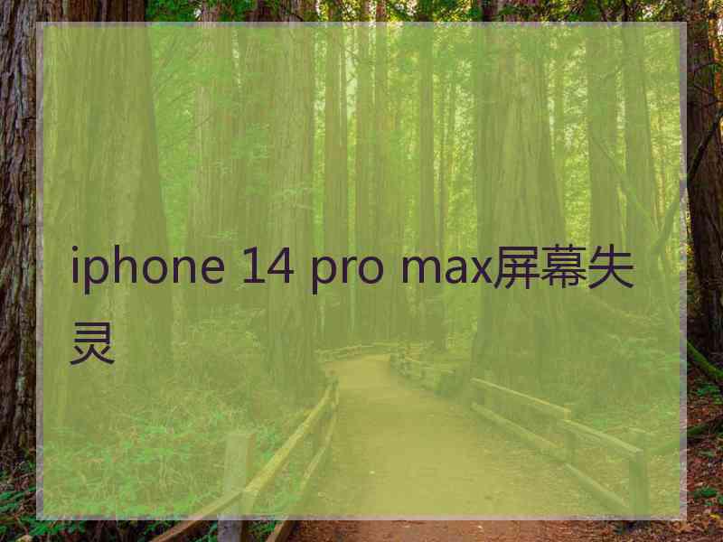 iphone 14 pro max屏幕失灵