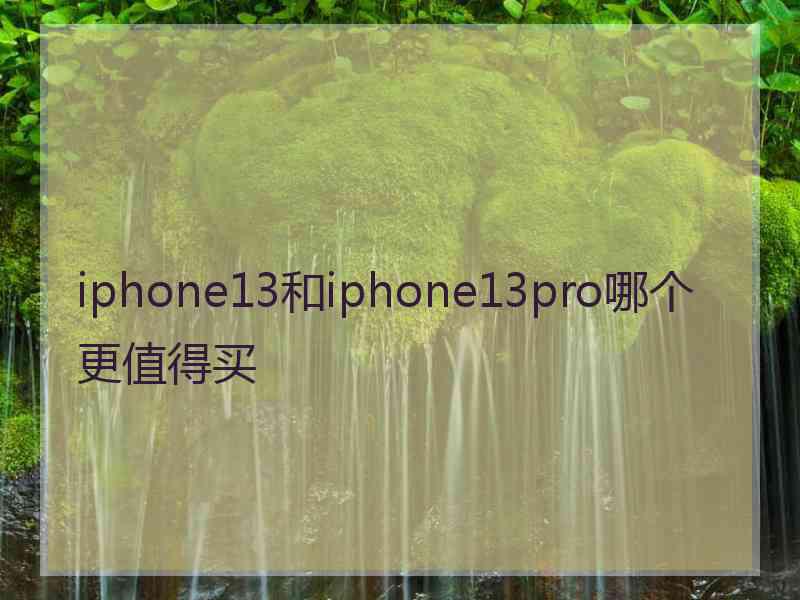 iphone13和iphone13pro哪个更值得买