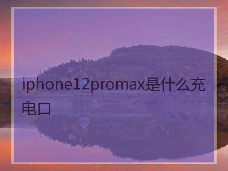 iphone12promax是什么充电口