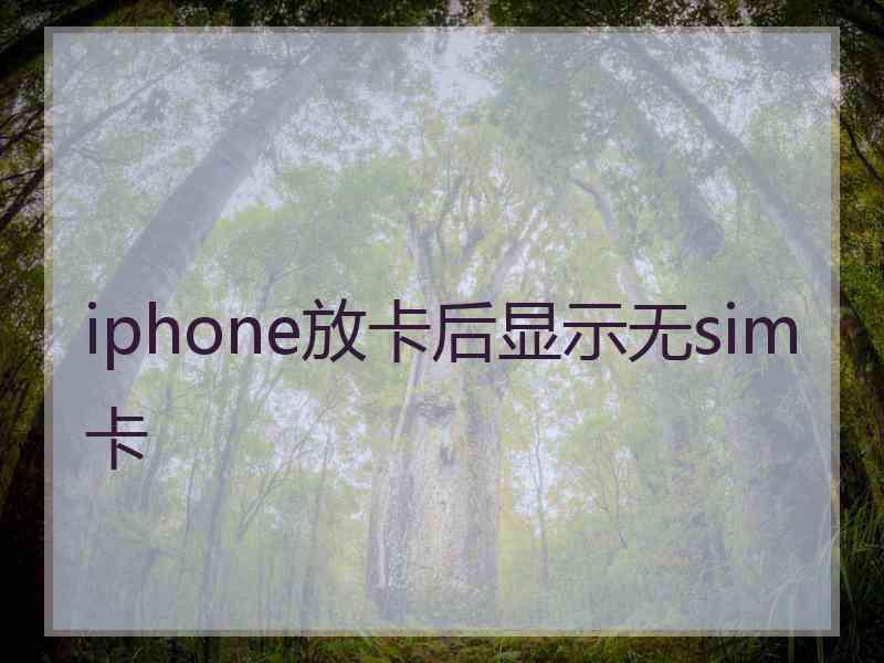 iphone放卡后显示无sim卡