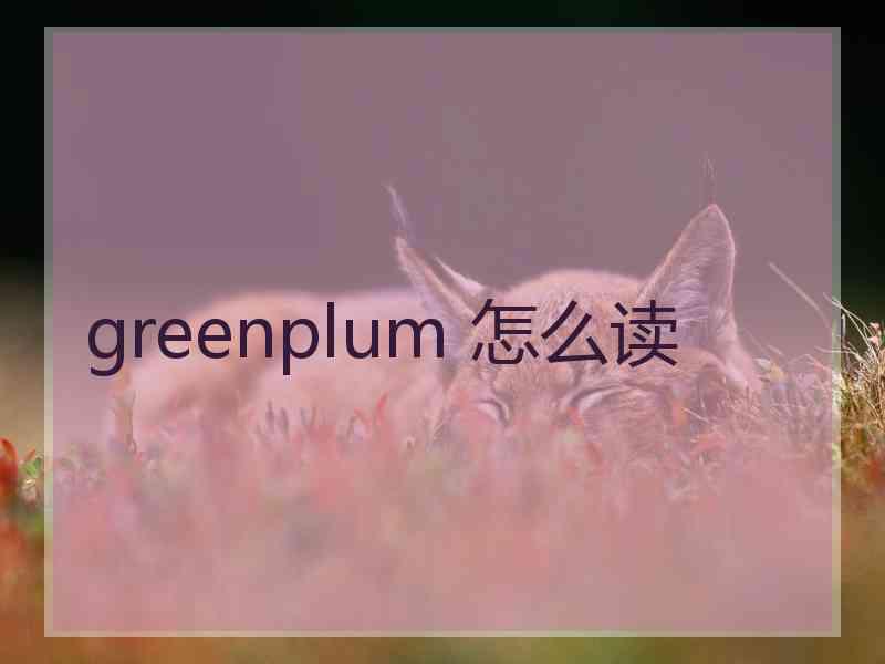 greenplum 怎么读