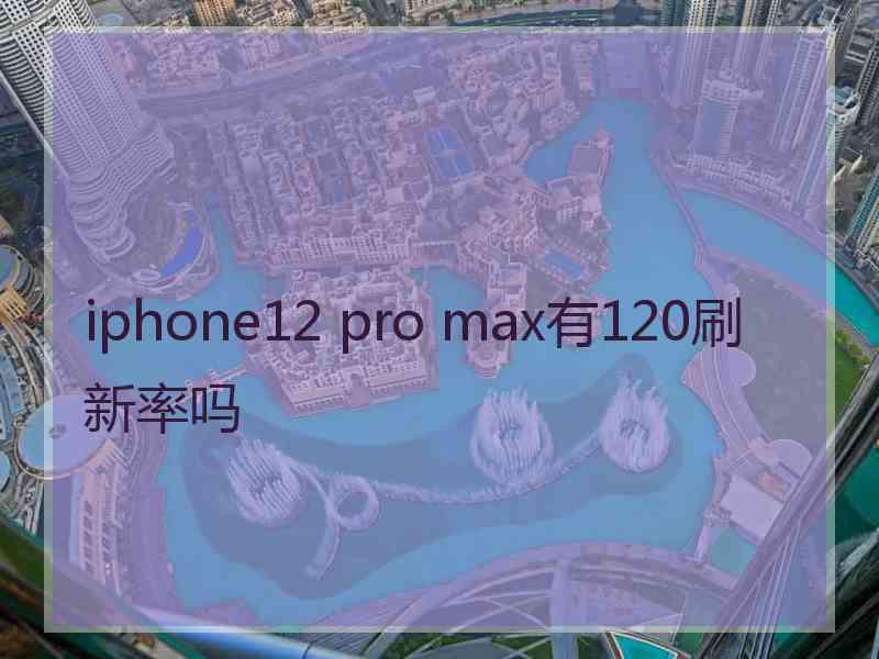 iphone12 pro max有120刷新率吗