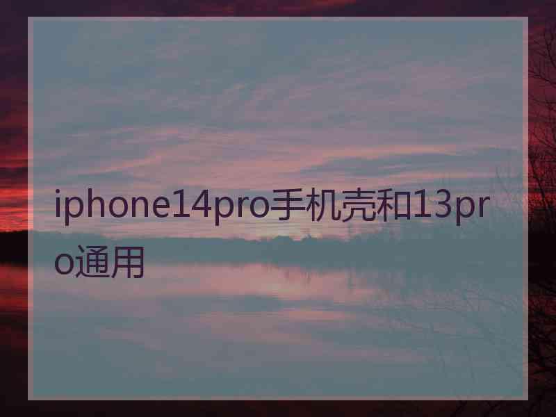 iphone14pro手机壳和13pro通用