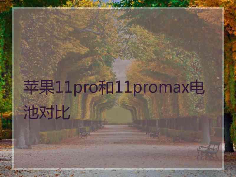 苹果11pro和11promax电池对比