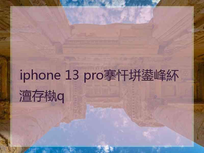 iphone 13 pro搴忓垪鍙峰紑澶存槸q