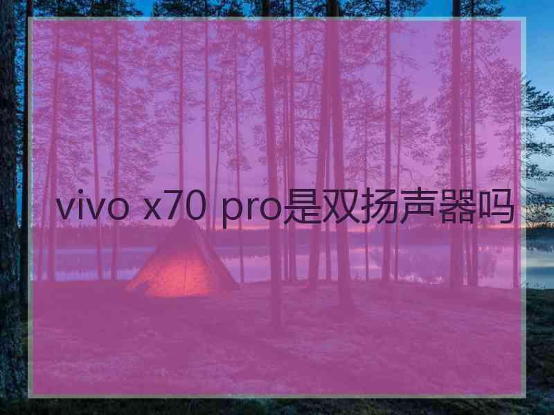 vivo x70 pro是双扬声器吗