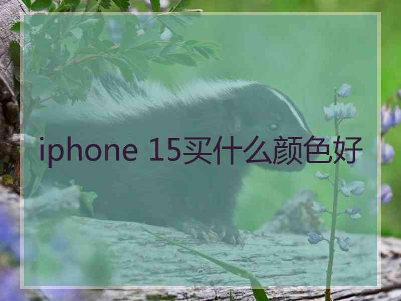 iphone 15买什么颜色好