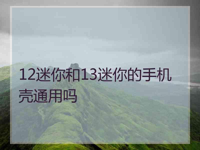 12迷你和13迷你的手机壳通用吗