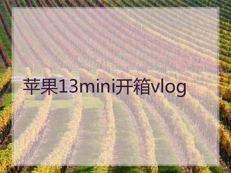 苹果13mini开箱vlog