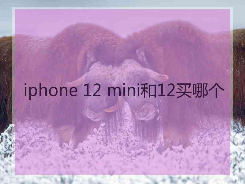 iphone 12 mini和12买哪个