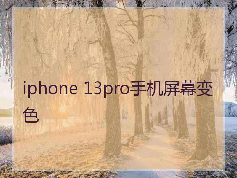 iphone 13pro手机屏幕变色