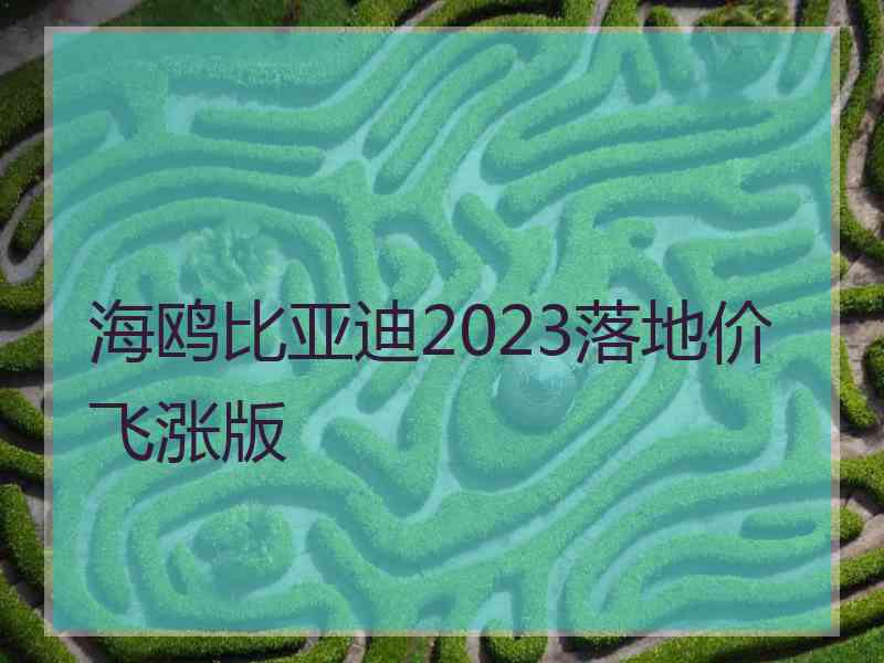 海鸥比亚迪2023落地价飞涨版