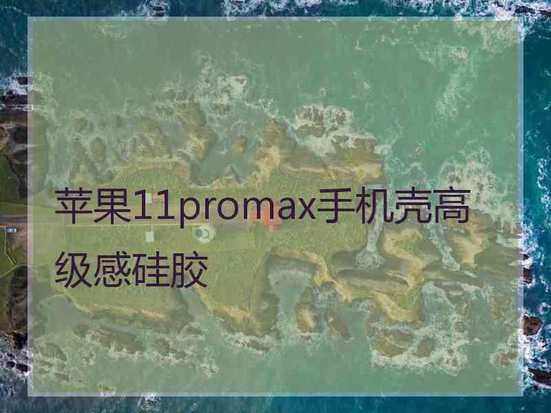 苹果11promax手机壳高级感硅胶