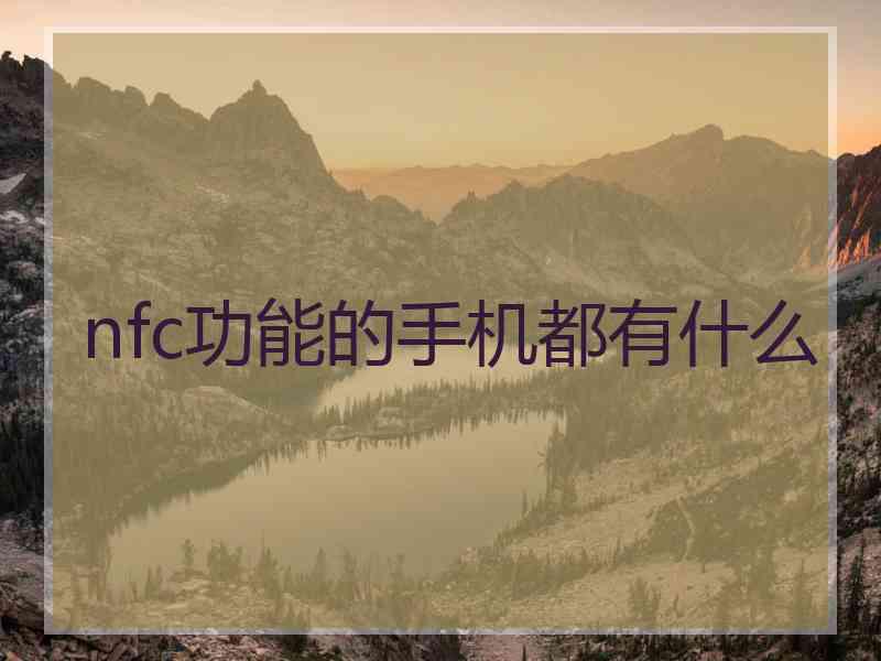 nfc功能的手机都有什么