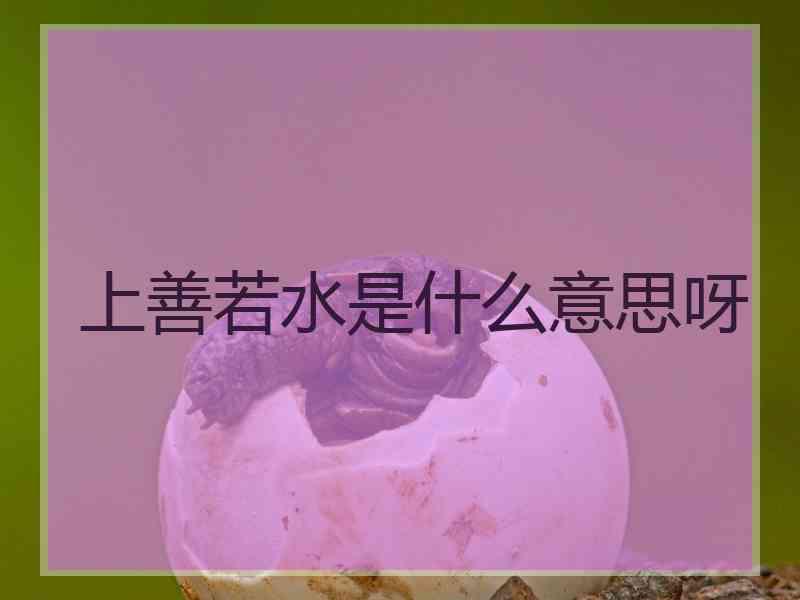 上善若水是什么意思呀