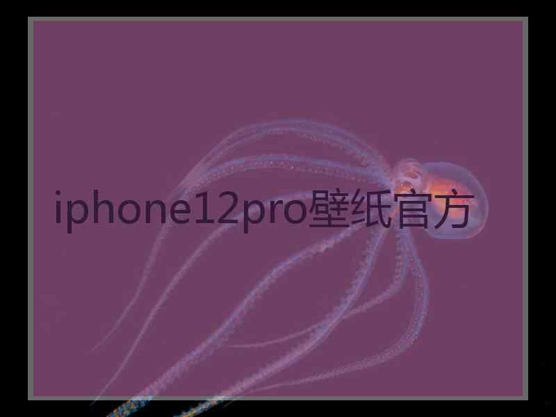 iphone12pro壁纸官方