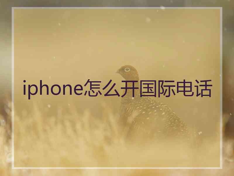 iphone怎么开国际电话