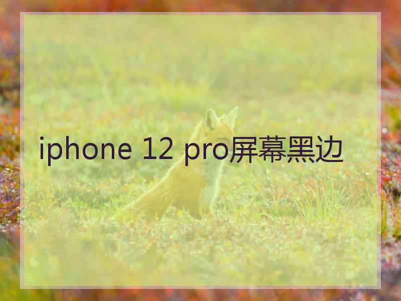 iphone 12 pro屏幕黑边