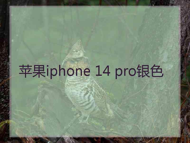 苹果iphone 14 pro银色