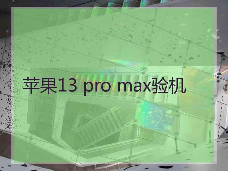 苹果13 pro max验机