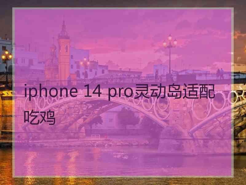 iphone 14 pro灵动岛适配吃鸡