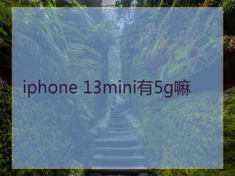 iphone 13mini有5g嘛