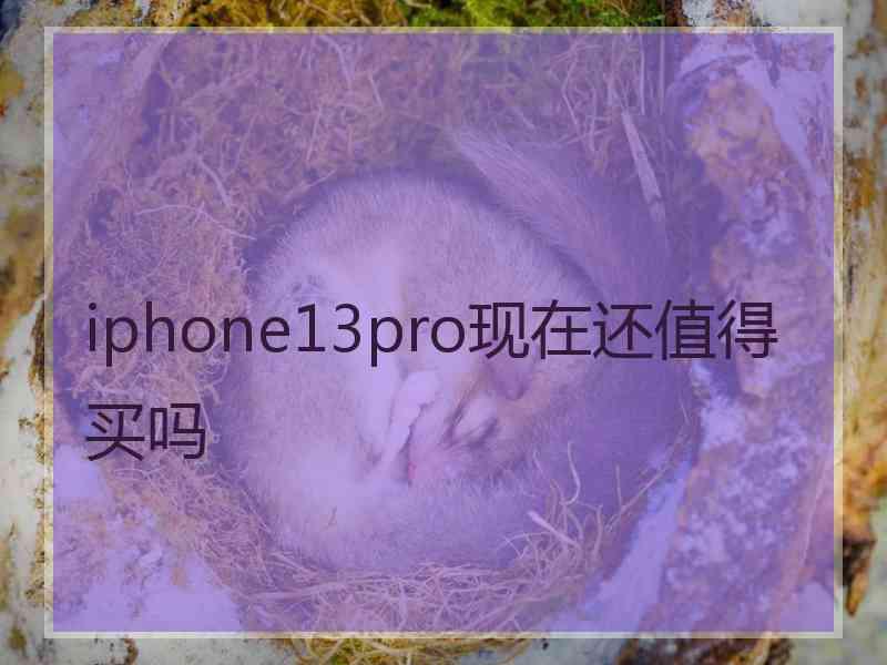 iphone13pro现在还值得买吗