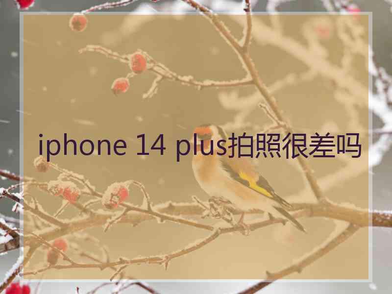 iphone 14 plus拍照很差吗