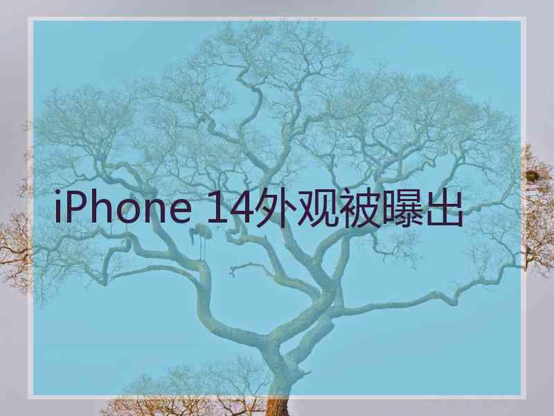 iPhone 14外观被曝出