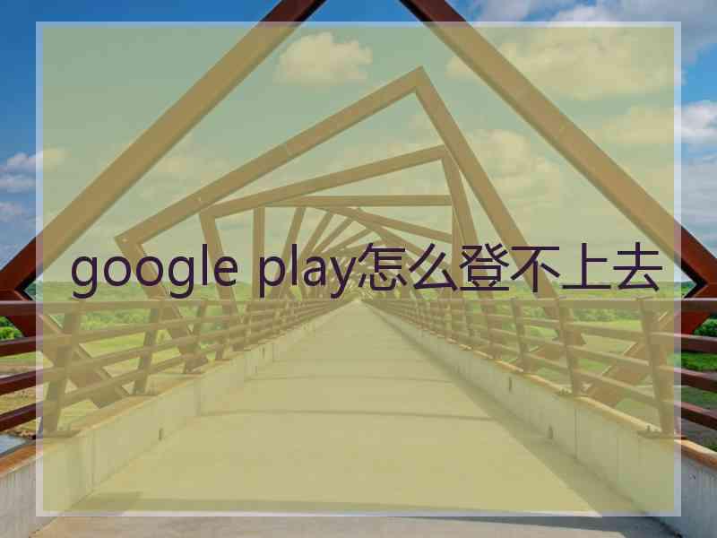 google play怎么登不上去