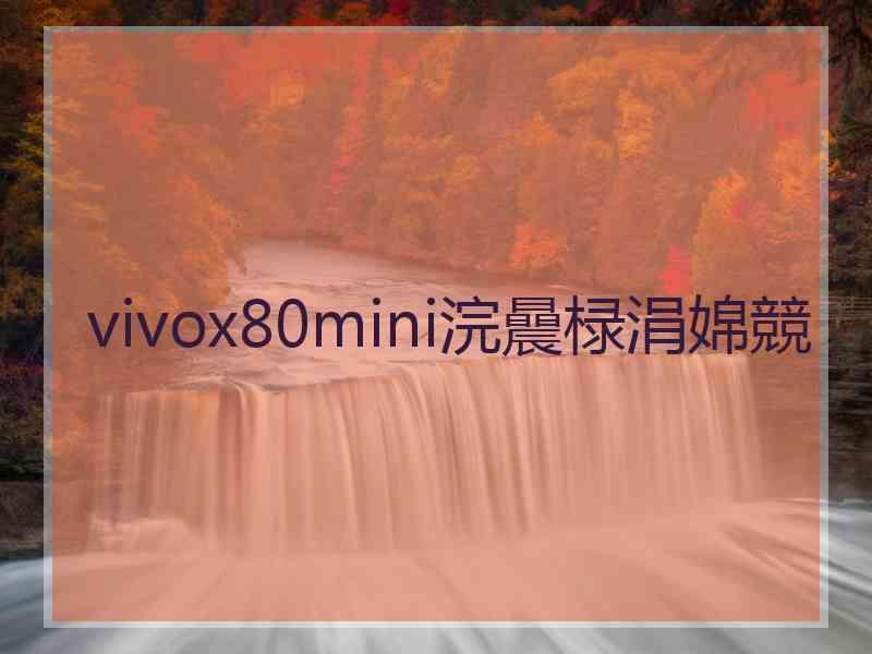 vivox80mini浣曟椂涓婂競