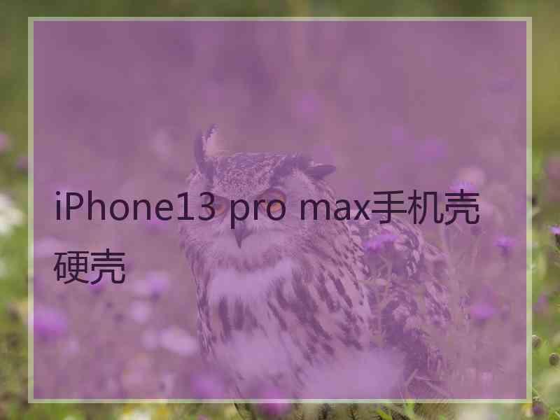 iPhone13 pro max手机壳硬壳