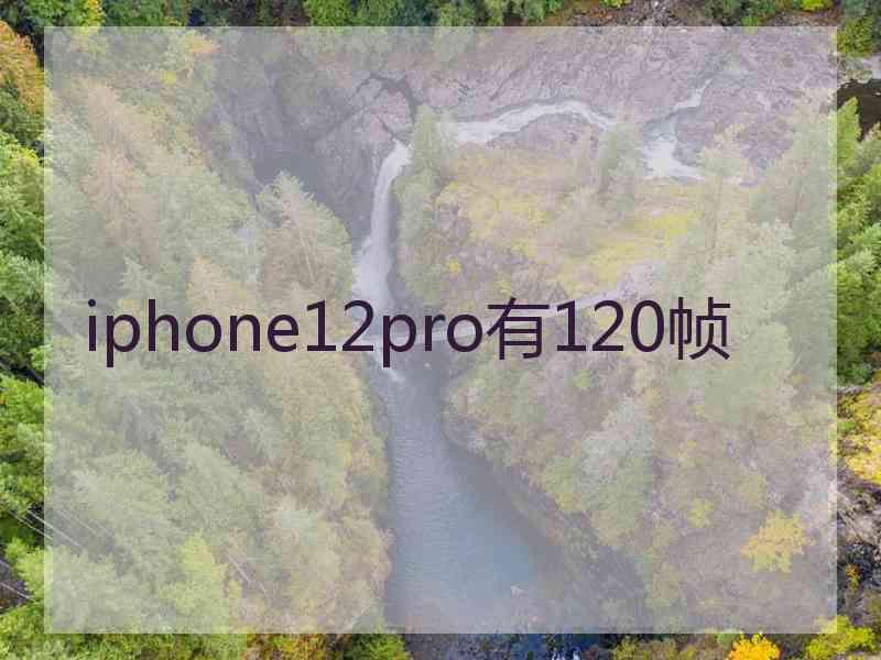 iphone12pro有120帧