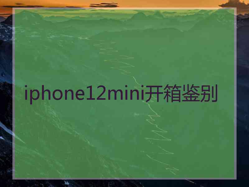 iphone12mini开箱鉴别