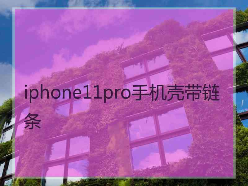 iphone11pro手机壳带链条