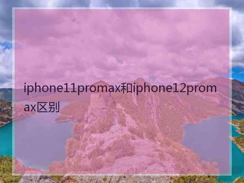 iphone11promax和iphone12promax区别