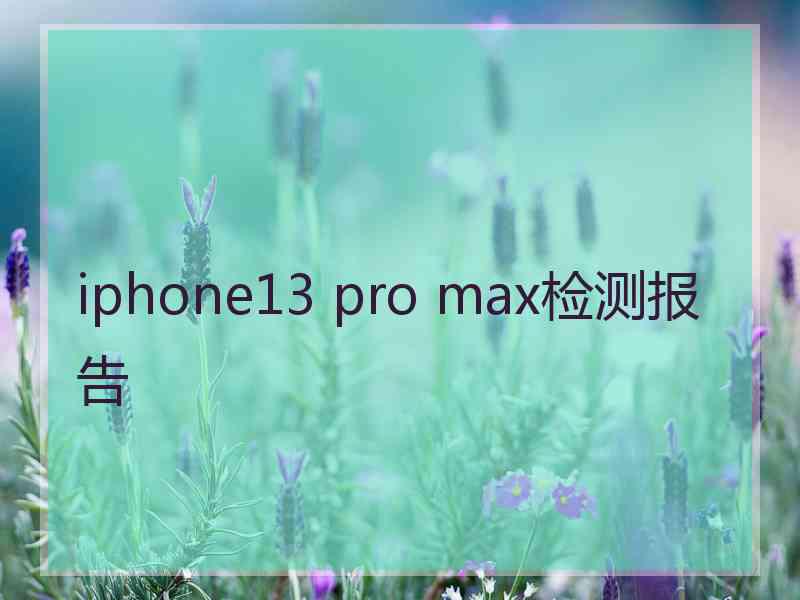 iphone13 pro max检测报告