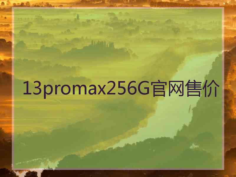 13promax256G官网售价