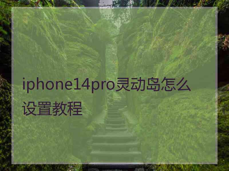 iphone14pro灵动岛怎么设置教程