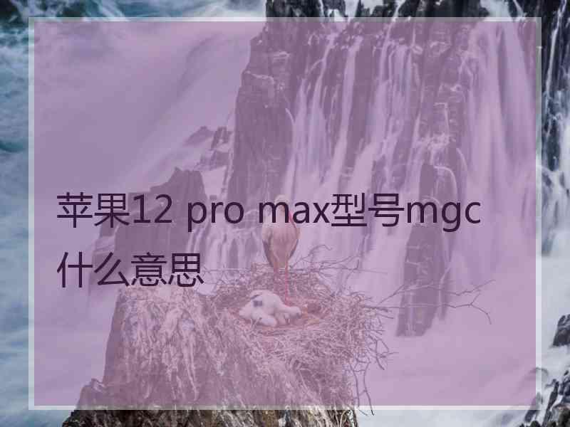 苹果12 pro max型号mgc什么意思