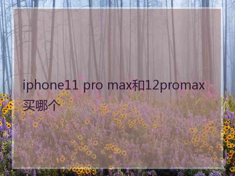 iphone11 pro max和12promax买哪个