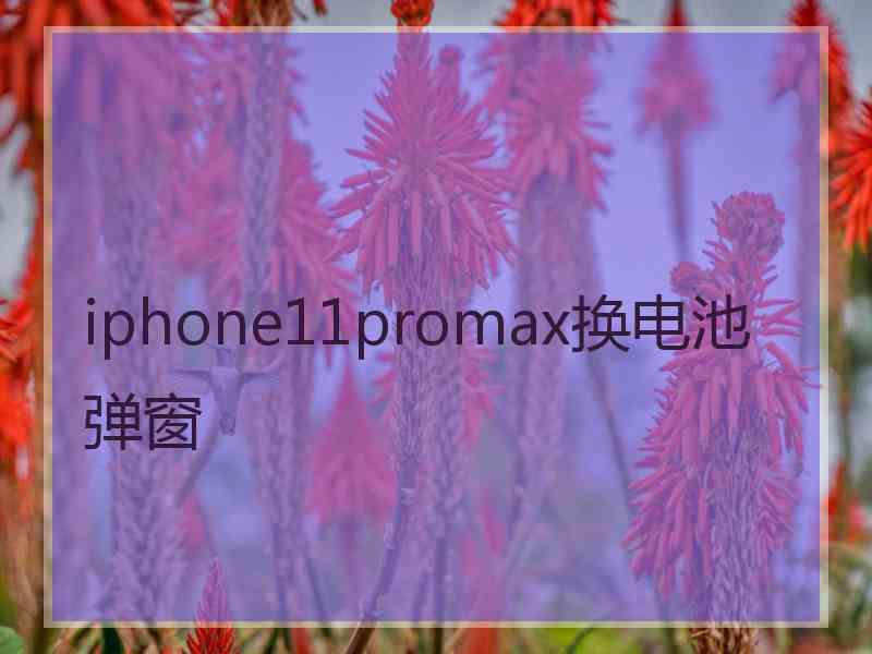 iphone11promax换电池弹窗