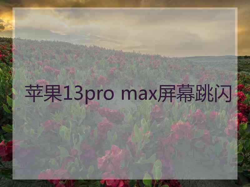 苹果13pro max屏幕跳闪