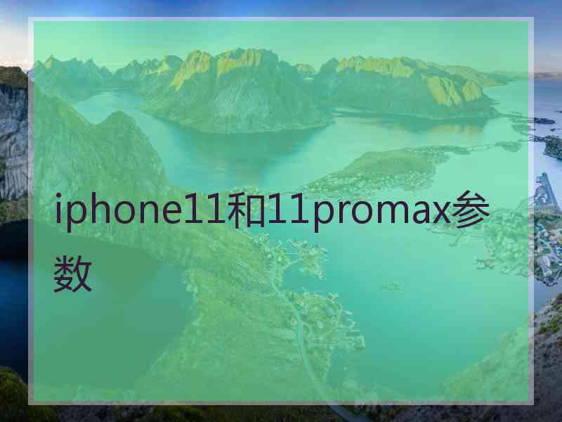 iphone11和11promax参数