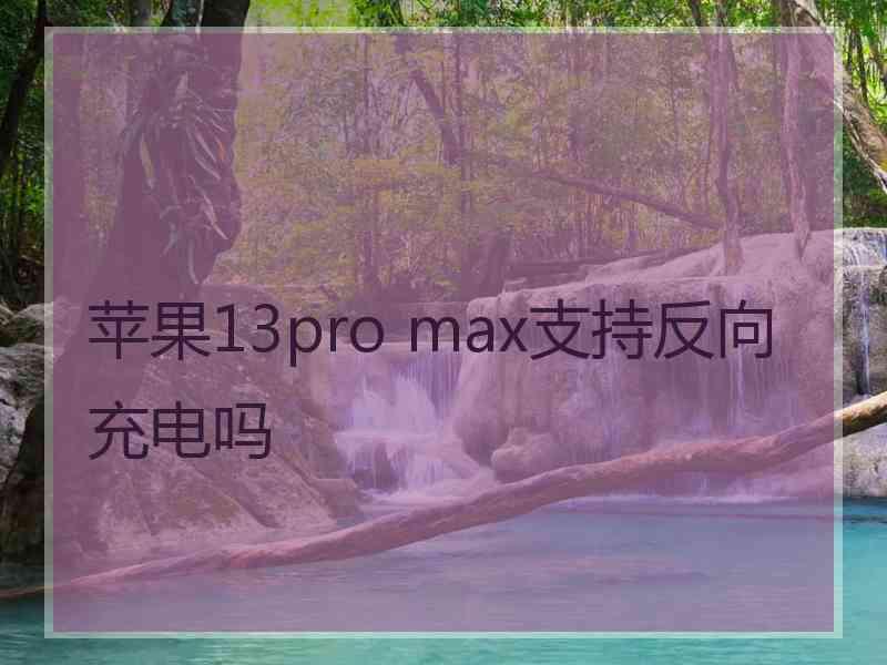 苹果13pro max支持反向充电吗