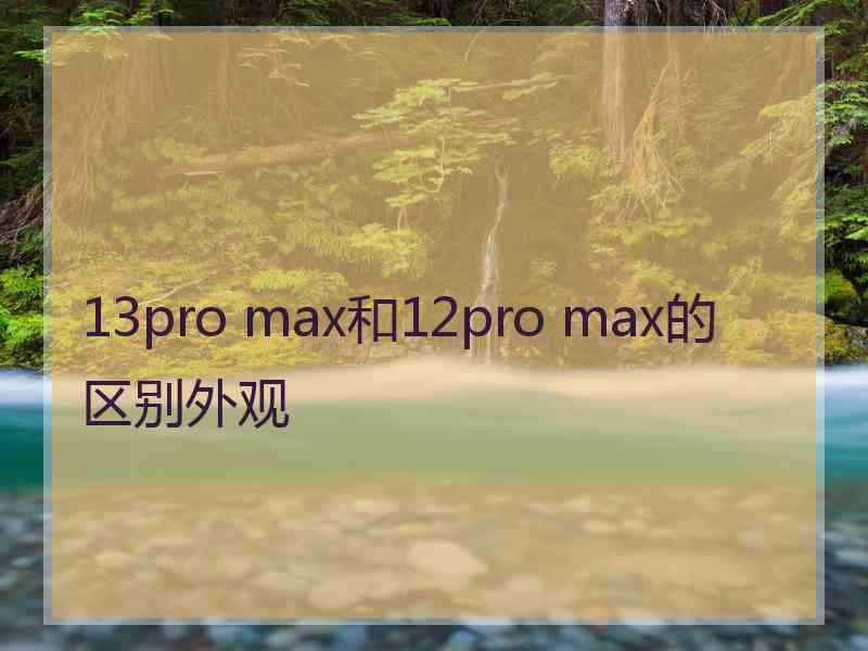 13pro max和12pro max的区别外观