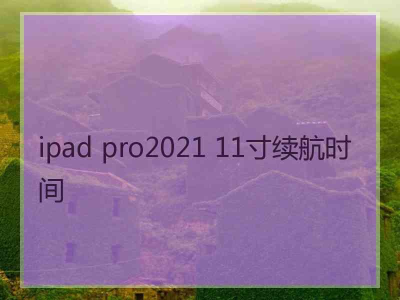 ipad pro2021 11寸续航时间