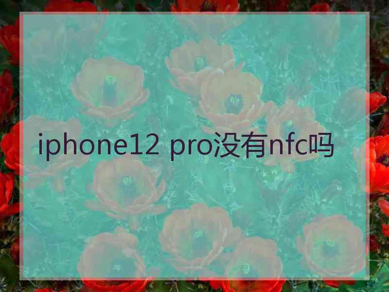 iphone12 pro没有nfc吗