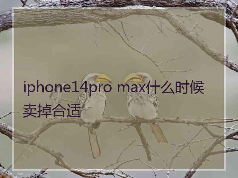 iphone14pro max什么时候卖掉合适