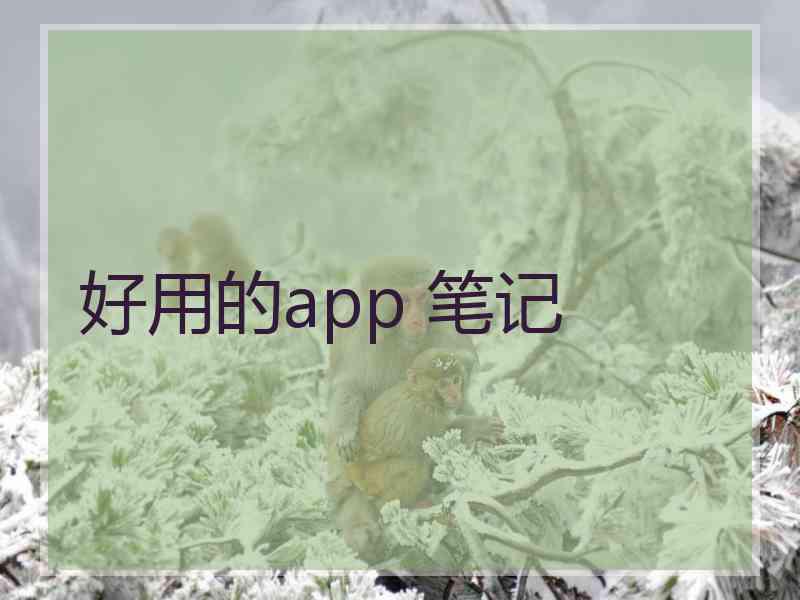 好用的app 笔记